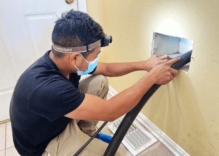 dryer vent cleaners virgnia