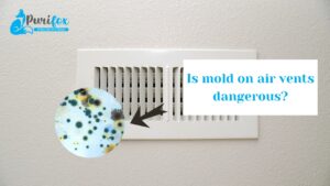 Is mold on air vents dangerous