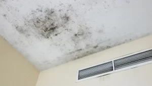 Is mold on air vents dangerous A Hidden Threat