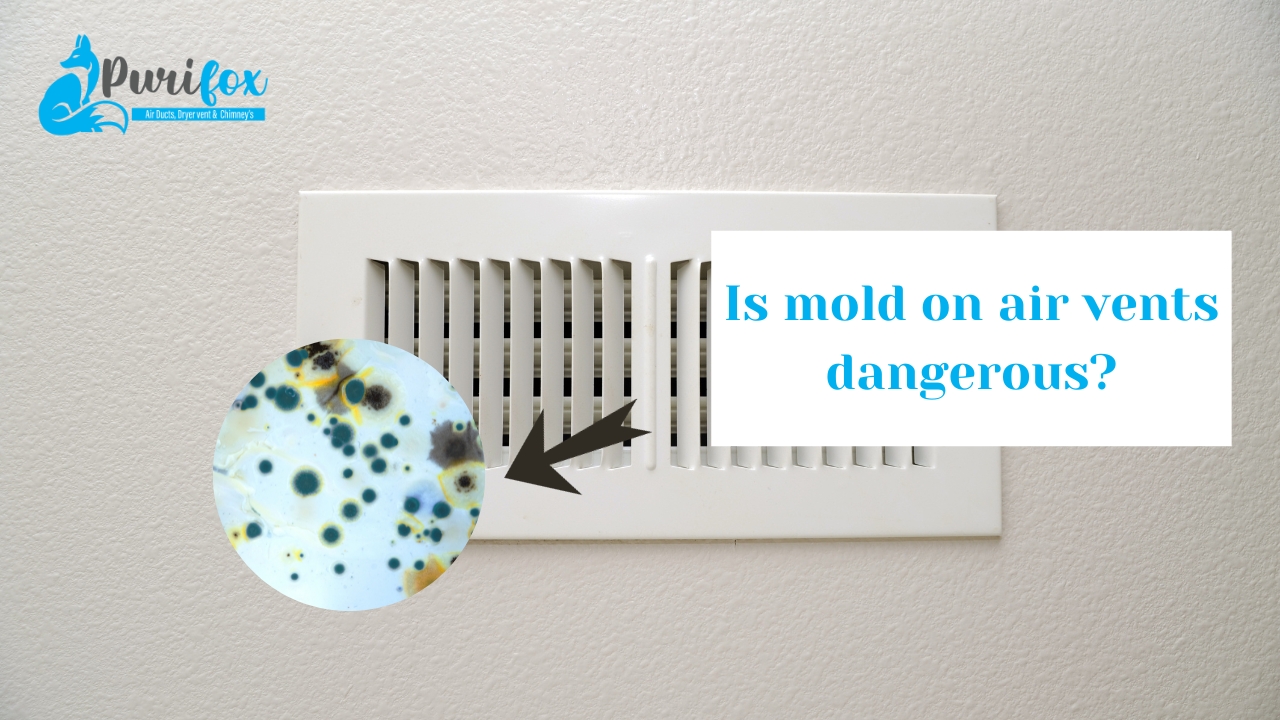Is mold on air vents dangerous?